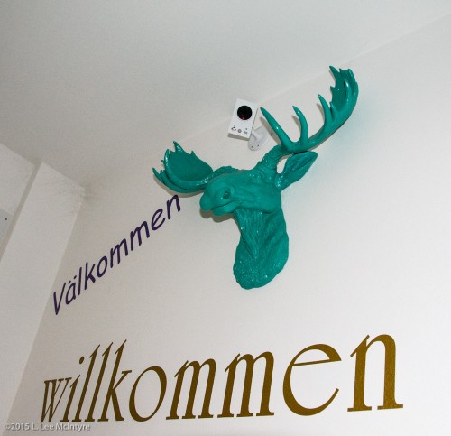 Green Moose Hall Decoration, Vacation Apartment, Bolzano